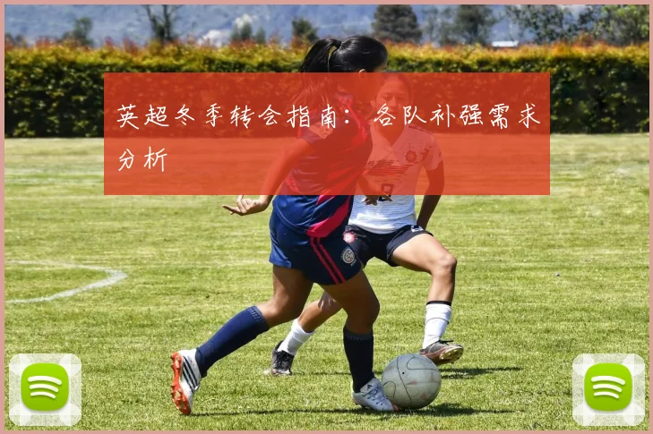 英超冬季转会指南：各队补强需求分析